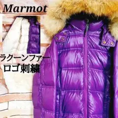 【即完売】マーモットmarmot ダウンジャケット 豪華リアルファー M古着女子