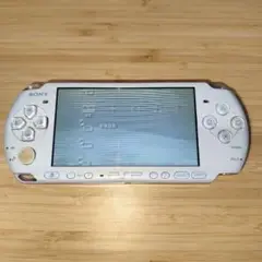 Item thumbnail for item 2d126faa-8693-4d15-951f-1be5fa6bcf2c