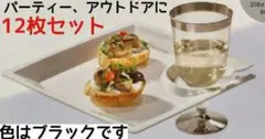 ドリンクホルダー付きプレート 12枚セット 皿 カクテルプレート Duni 黒