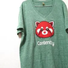 ALTERNATIVE　ヴィンテージ　メンズ　Tシャツ　グリーン　XL　プリント