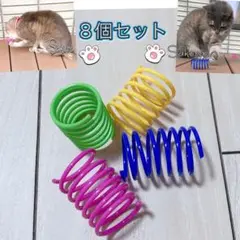 猫のスプリング おもちゃ 8個セット
