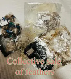 Item thumbnail for item 4fb4df1b-a786-4860-adff-6b94d1813b06