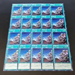 12254 遊戯王 同胞の絆 20枚セット