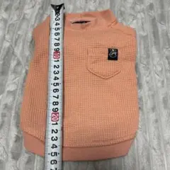 Item thumbnail for item f52a0595-7930-4cd8-8129-bbddfecc785d