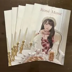 大谷映美里 Rosé Muse（ロゼ ミューズ） フライヤー　5枚セット