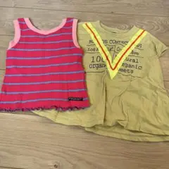 MARKY'S BIG FIELD & BREEZE セット 110