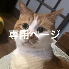 専用