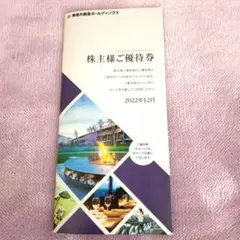 東急不動産ホールディングス株主様ご優待券 100株