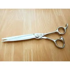 Item thumbnail for item 9dab230b-26d7-4c33-9cc4-906685561845