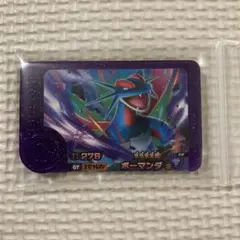 ポケモンフレンダ　ボーマンダ　スーパートレジャー