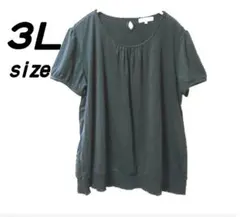 ３Ｌ ブラック 裾ゴム Ｔシャツ カットソー 無地 伸縮性あり 大きいサイズ