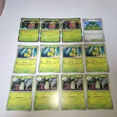 ポケモンカード メガニウム ベイリーフ チコリータ まとめ