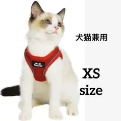 Item thumbnail for item 6c630291-e37a-41de-9cc6-bcdd2eefb81d