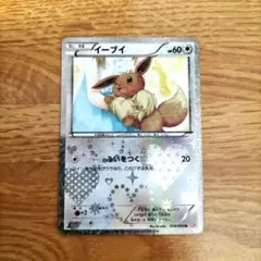ポケモンカード　イーブイ U SC　シャイニーコレクション ②