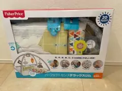 フィッシャープライス パーフェクトセンスデラックスジム　箱付き