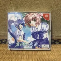 ドリキャス 君が望む永遠