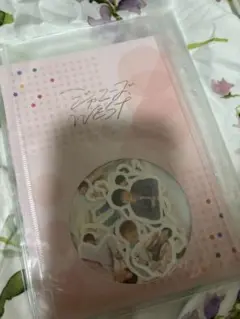 Item thumbnail for item 0ecbd778-0a59-4664-b718-fe11acc1fc99