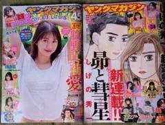ヤングマガジン 33号 34号 セット販売