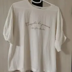 アソート刺繍半袖Ｔシャツ　生成り フリーサイズ　axes femme