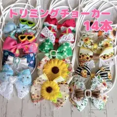 夏色Cトリミングチョーカー 14本