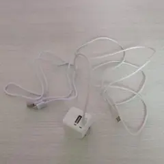 【2点セット】ELSONIC 2ポートUSB充電器EFL-AC24MJU15-W