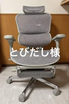 エルゴヒューマンプロオットマン2