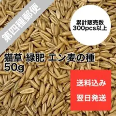Item thumbnail for item 524ea764-16d1-4a6f-9881-a70983c189ec