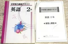 【表紙に傷あり 中身の状態◎】中学実力練成テキスト 英語 2年