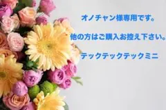 オノチャンの専用ページです。テックテックテックミニ