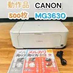 Item thumbnail for item 9301b3b0-ef50-4dd9-be07-960b32ec390b