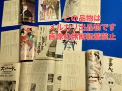 2025年最新】未来放浪ガルディーンの人気アイテム - メルカリ