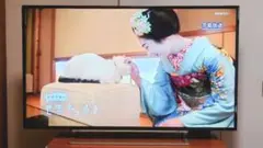 [動作確認済] TOSHIBA 東芝 液晶カラーテレビ 49J10 49インチ