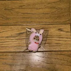 シルバニアファミリー きぐるみ 赤ちゃん