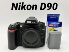 *実用品*シャッター回数17171回 Nikon D90