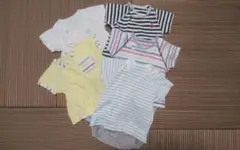 コンビミニ　ラップコンパクト　5着セット