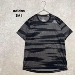 Item thumbnail for item 12d86488-f560-407b-bf72-c40940a6eb27