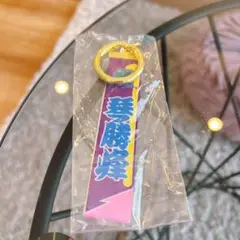 大相撲　琴勝峰　ロゴテープキーホルダー