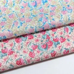 リバティ　アシュテッド　2色セット
