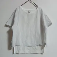 〚Ebonyivory〛エボニーアイボリー【F】Tシャツ シアー ストライプ
