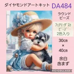 DA484★ダイヤモンドアートキット★ラウンドビーズ★フェアリーダストビーズ入り