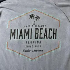 Comfort Colors MIAMI ポケT スモーキーブルー Lサイズ