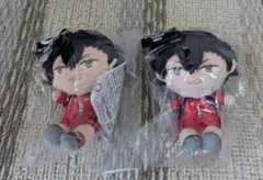 ハイキュー　もちっと　ぬいぐるみセット