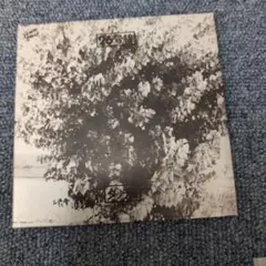 ダン・チャーチ 26号線 (あの頃に会いたい) CD