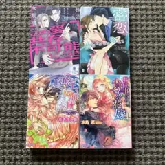 TL小説 4冊セット