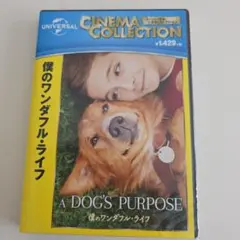 「僕のワンダフル・ライフ」DVD未開封