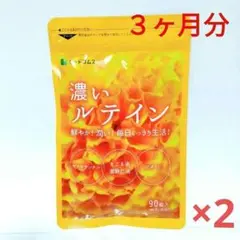 Item thumbnail for item f9cf7509-fddb-4d4e-a008-62e51b04f6a6