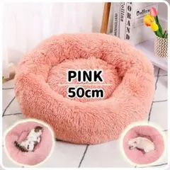 Item thumbnail for item f75b37d7-edc4-45f3-8ca4-892749c419af