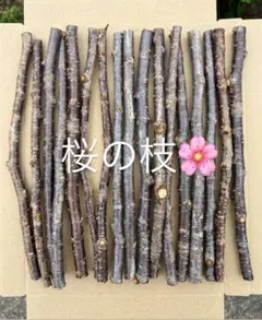 農薬不使用、桜の木、枝、かじり木、ハンドメイド、自然栽培