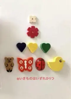 2025年最新】Schowanekの人気アイテム - メルカリ