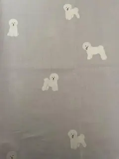 ②【犬　わんこ　ビションフリーゼ柄　生地】はぎれ　155×49